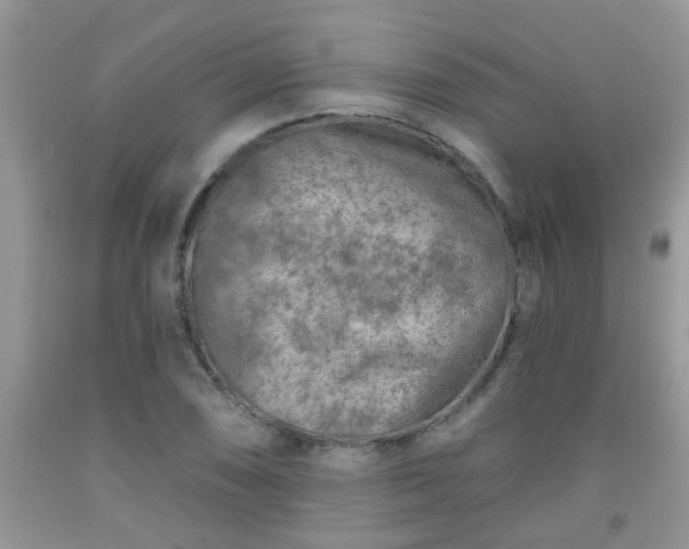 X0000092041074200709191055