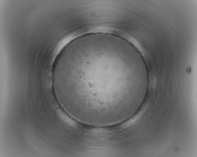 X0000092041075200709191055