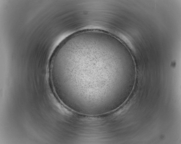 X0000092041076200709191055