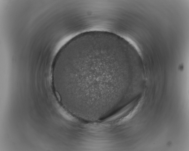 X0000092041077200709191055