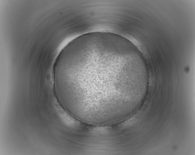 X0000092041078200709191055