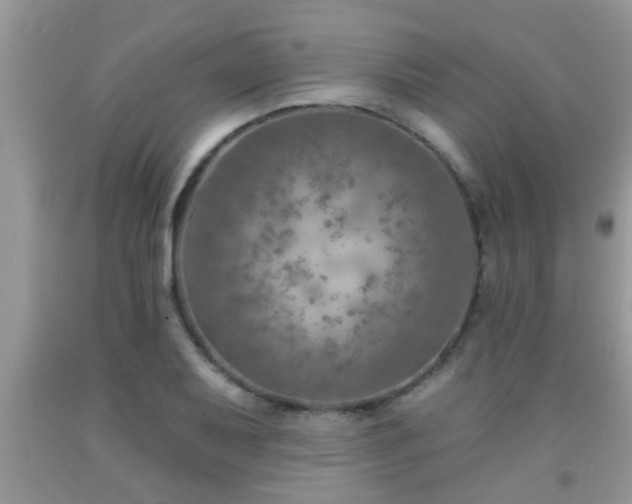 X0000092041079200709191055