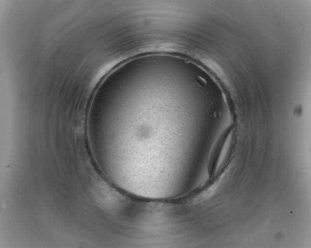 X0000092041081200709191055