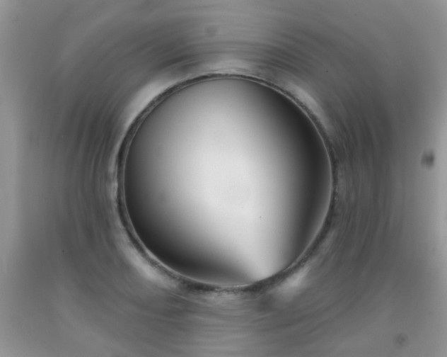 X0000092041082200709191055