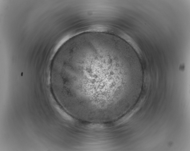 X0000092041083200709191055