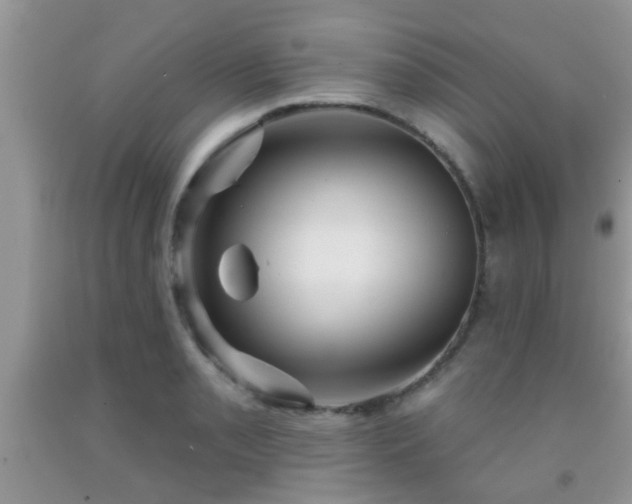 X0000092041085200709191055