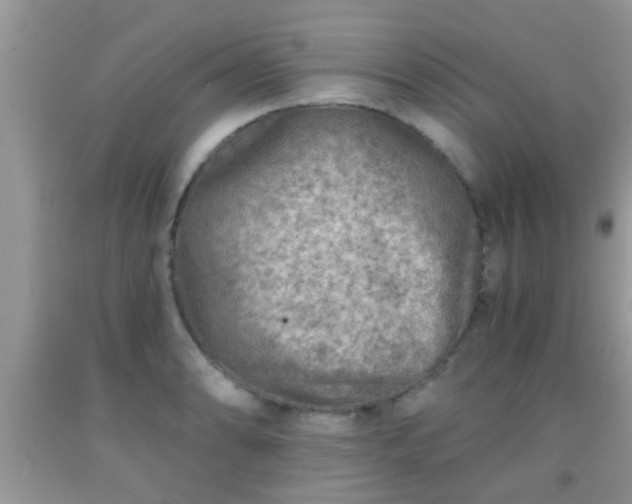 X0000092041086200709191055