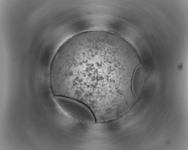 X0000092041087200709191055