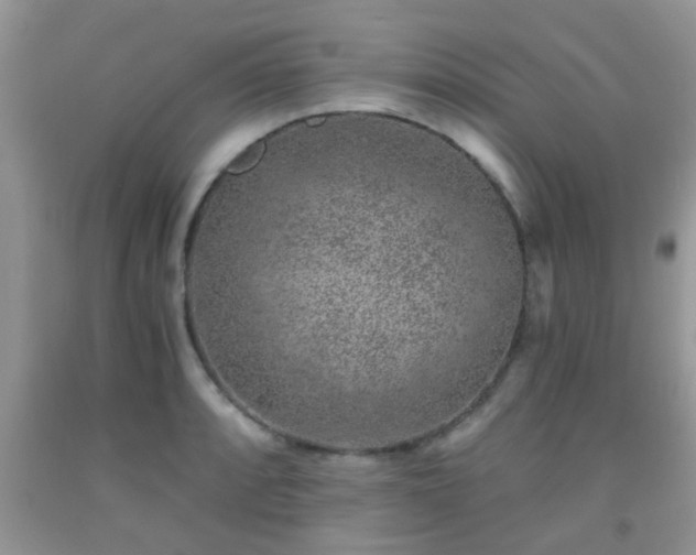 X0000092041088200709191055