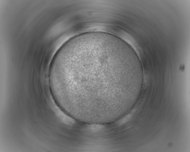 X0000092041090200709191055