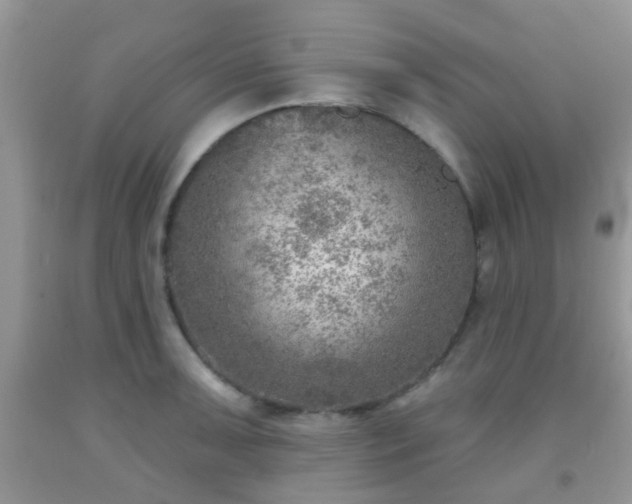 X0000092041091200709191055