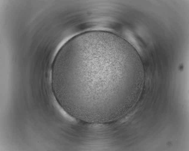 X0000092041092200709191055