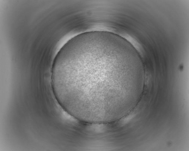 X0000092041094200709191055