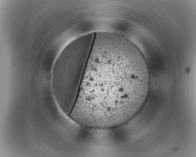 X0000092041095200709191055