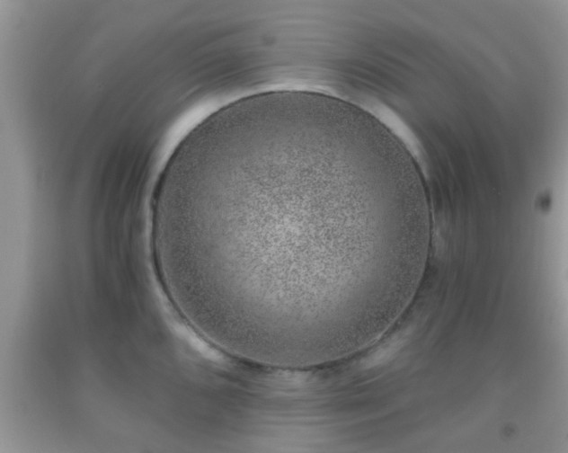 X0000092041096200709191055