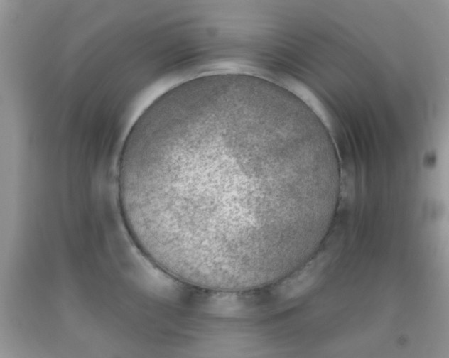 X0000092041098200709191055