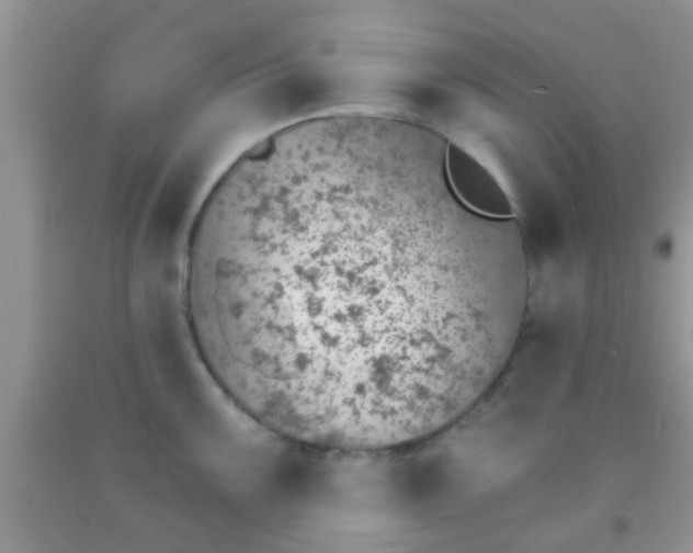 X0000092041099200709191055