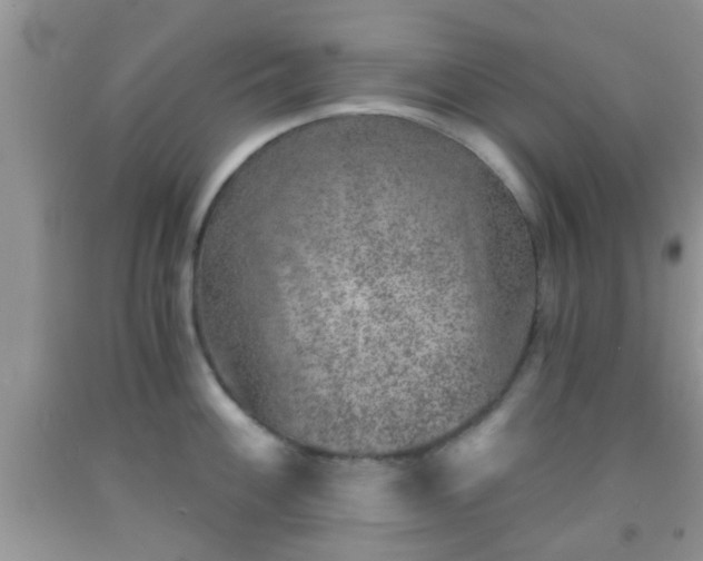 X0000092041100200709191055