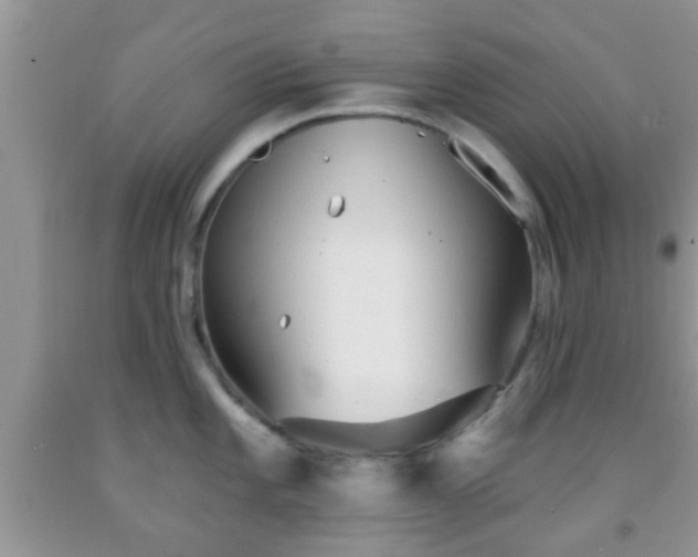 X0000092041101200709191055