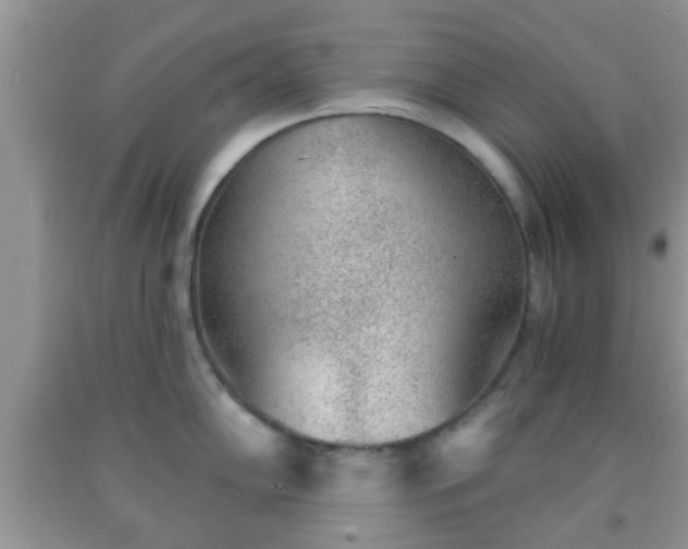 X0000092041102200709191055