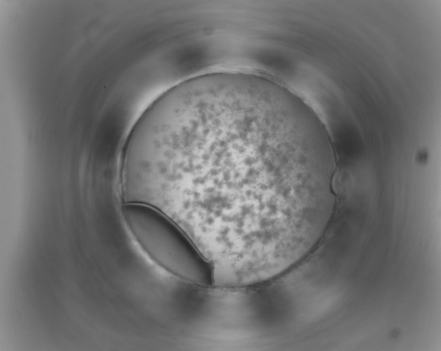 X0000092041103200709191055