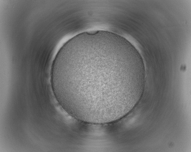 X0000092041104200709191055