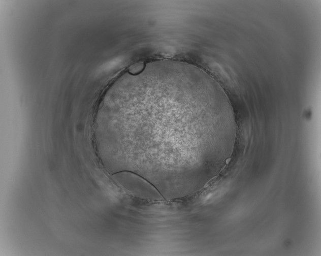 X0000092041105200709191054