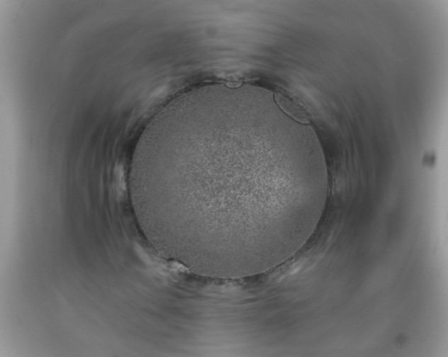 X0000092041106200709191054