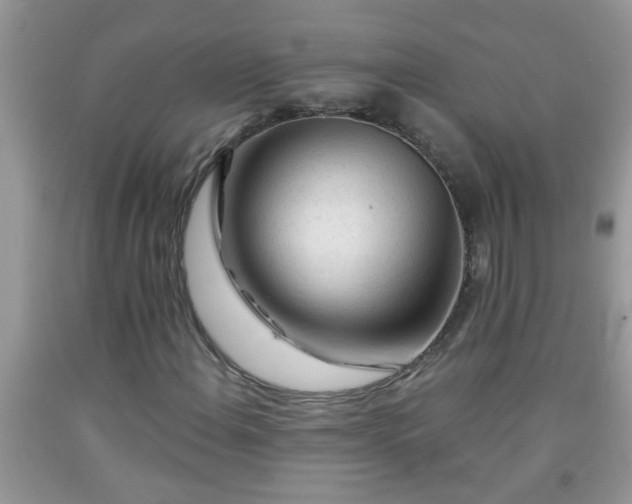 X0000092041108200709191054