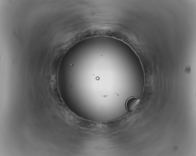 X0000092041109200709191054