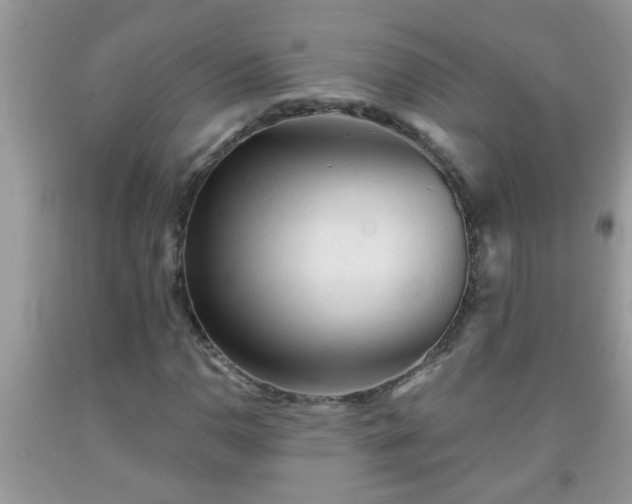 X0000092041110200709191054