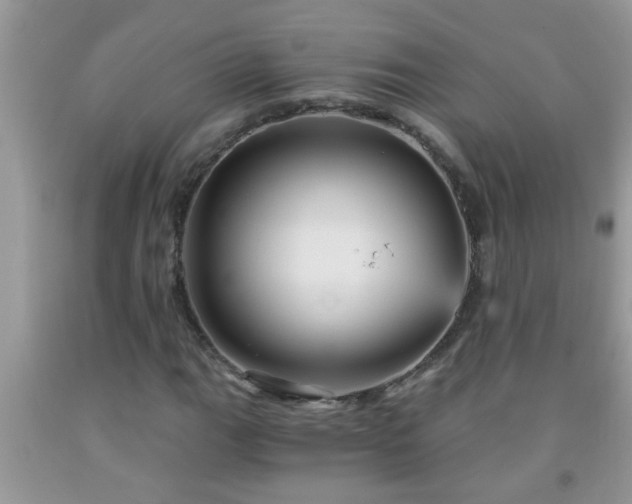 X0000092041111200709191054