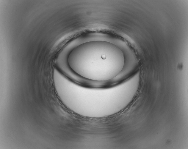 X0000092041112200709191054