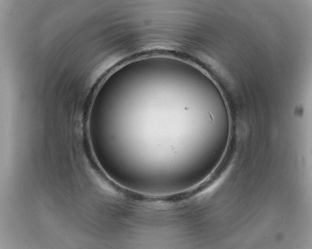 X0000092041113200709191055