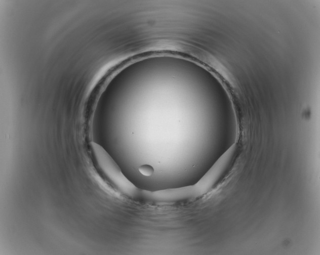 X0000092041116200709191055