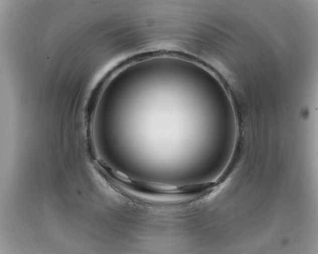 X0000092041118200709191055