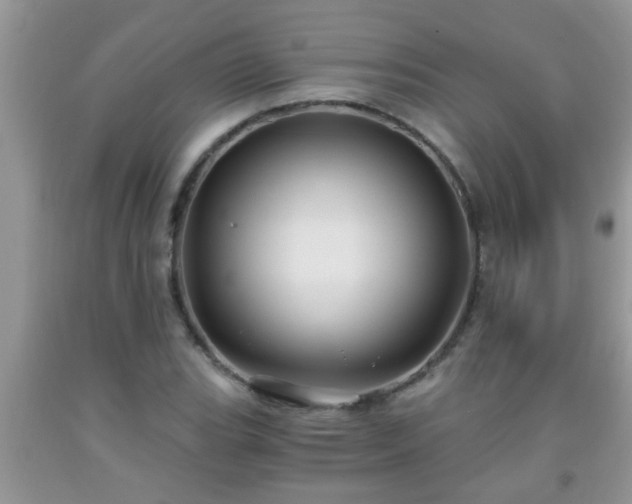 X0000092041119200709191055