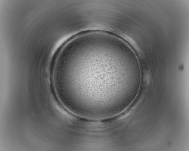 X0000092041120200709191055