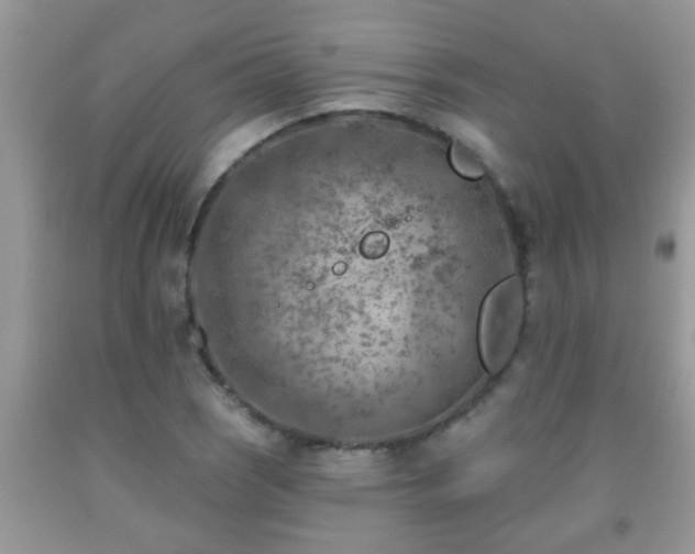 X0000092041121200709191055