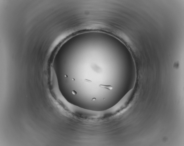 X0000092041122200709191055