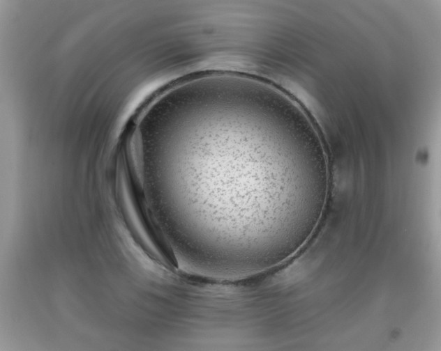 X0000092041123200709191055