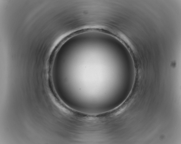 X0000092041124200709191055