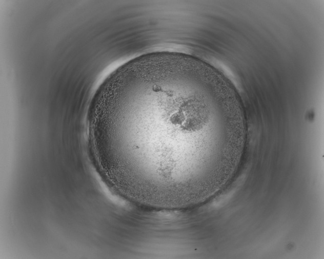 X0000092041125200709191055