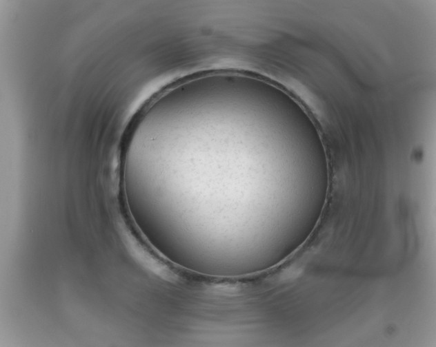 X0000092041126200709191055