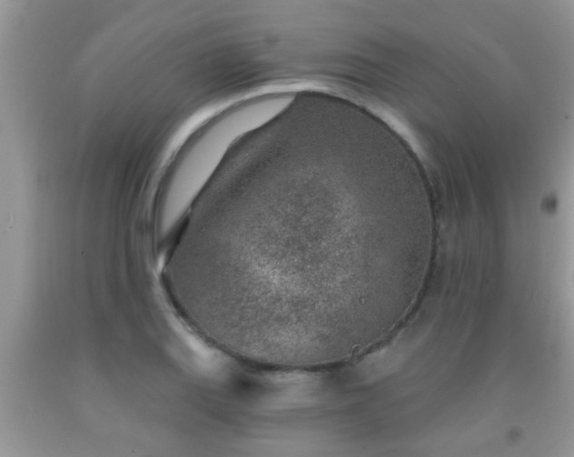 X0000092041127200709191055