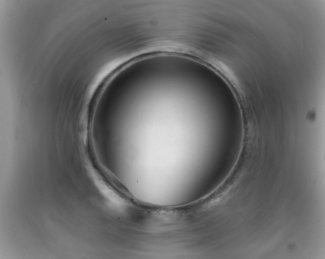 X0000092041128200709191055