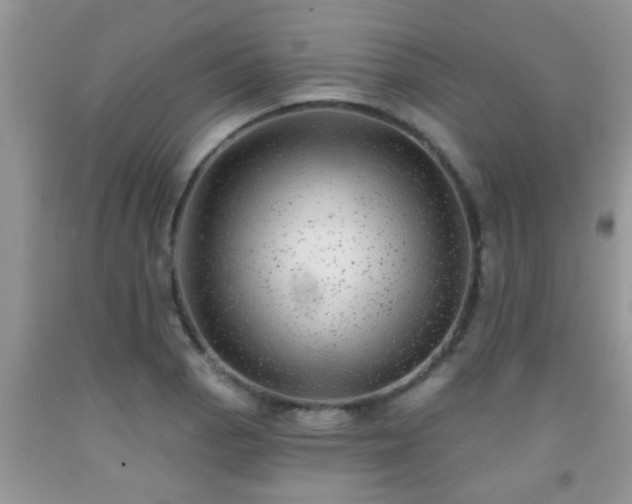 X0000092041129200709191055