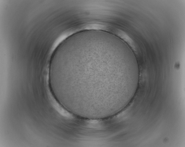 X0000092041130200709191055