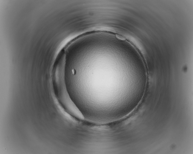 X0000092041133200709191055