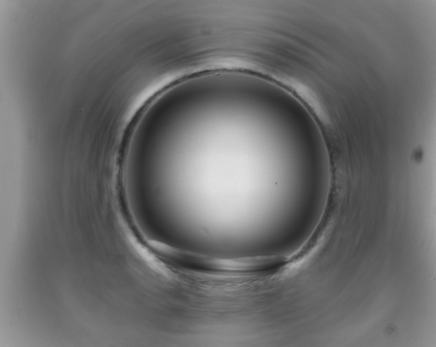 X0000092041134200709191055